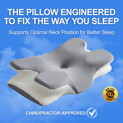 Quenzly® DreamAlign Pillow
